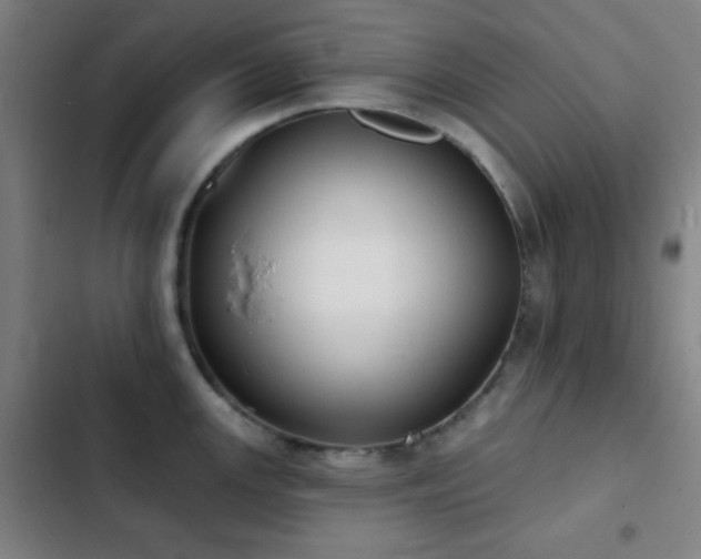 X0000103301147200808291359