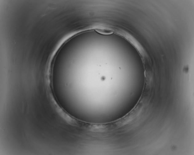 X0000103301148200808291359