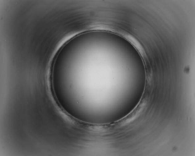 X0000103301149200808291359