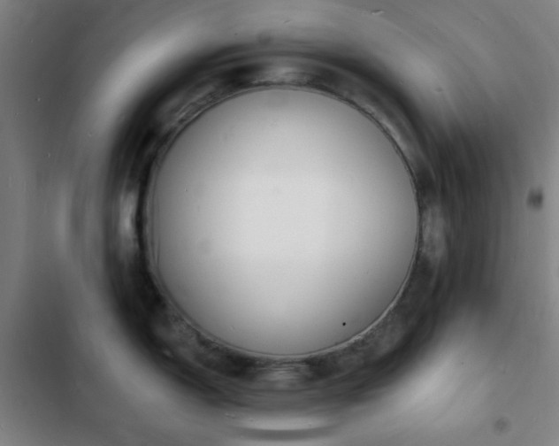 X0000103301150200808291359