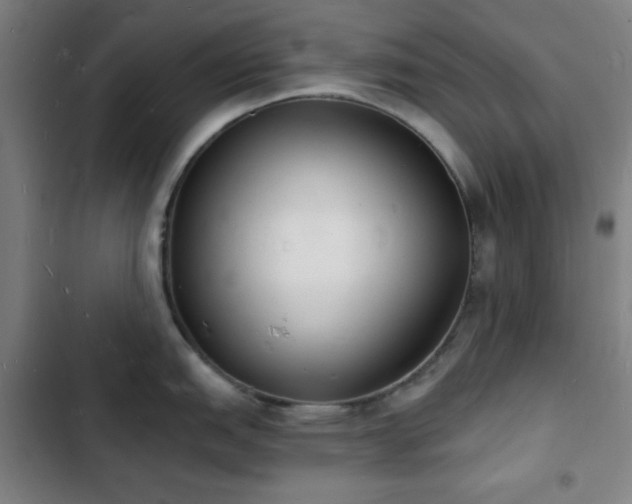 X0000103301151200808291359