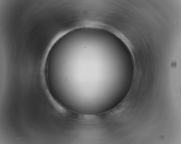X0000103301152200808291359