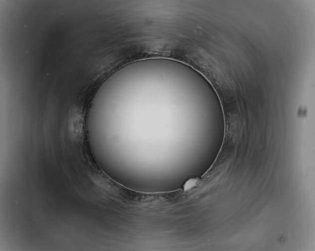 X0000103301154200808291358