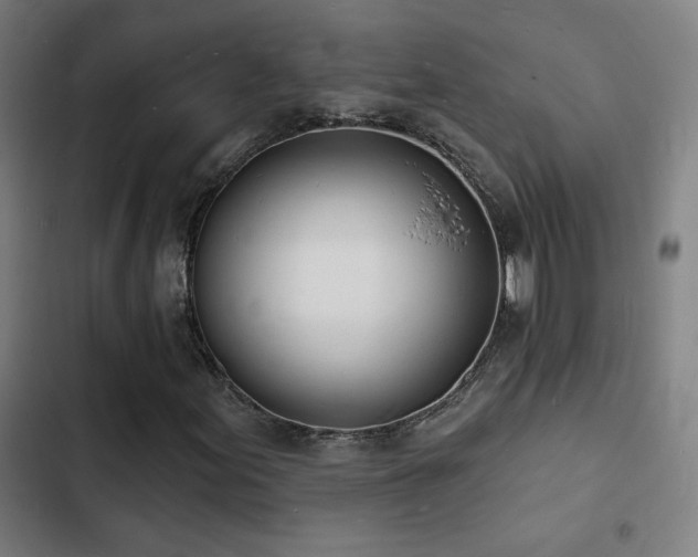 X0000103301155200808291358