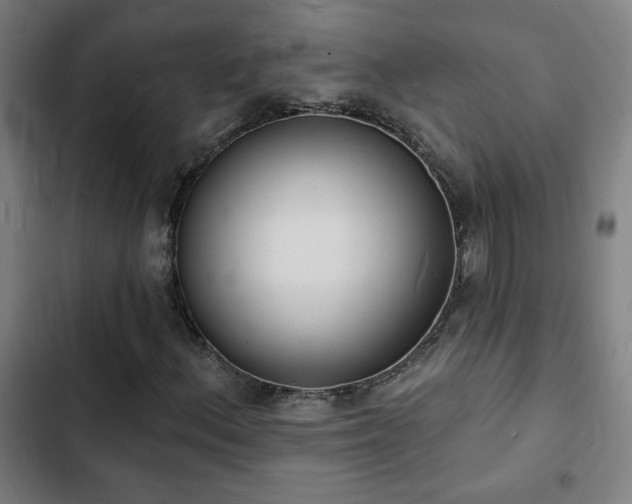 X0000103301156200808291358