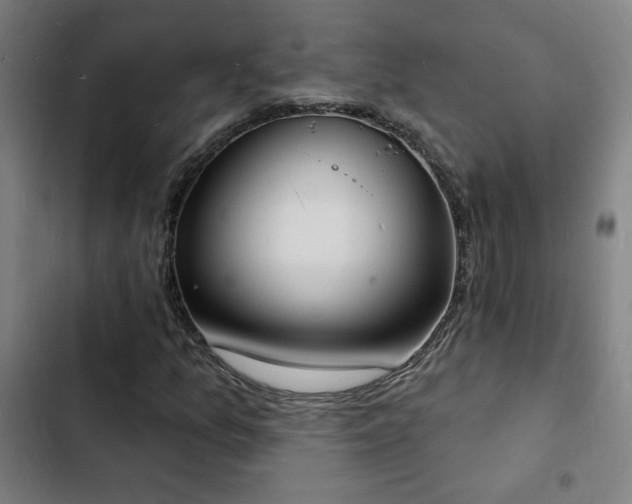 X0000103301157200808291358