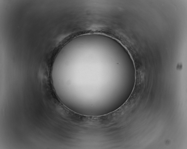 X0000103301158200808291358