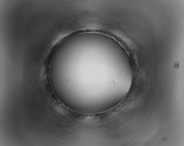 X0000103301160200808291358