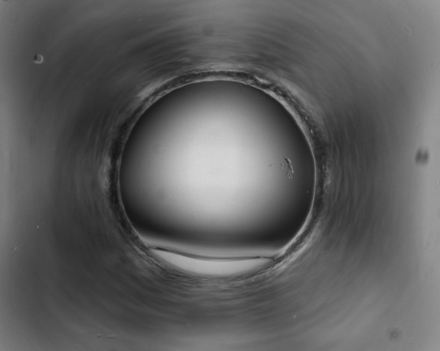 X0000103301161200808291358