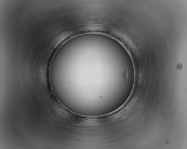 X0000103301162200808291358