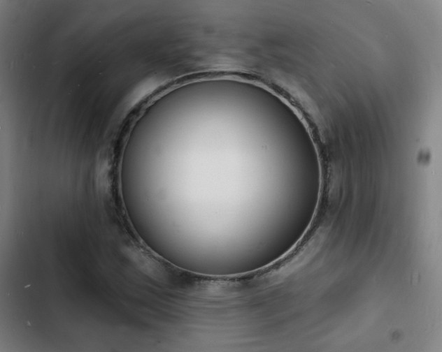 X0000103301163200808291358