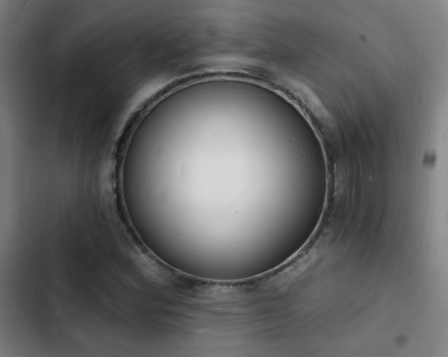 X0000103301164200808291358