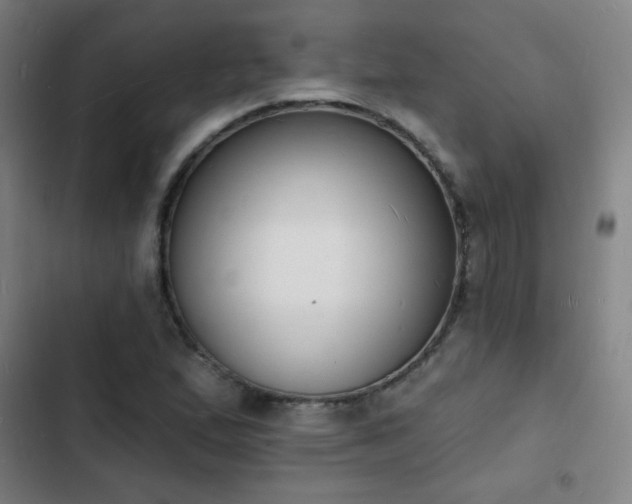 X0000103301167200808291358
