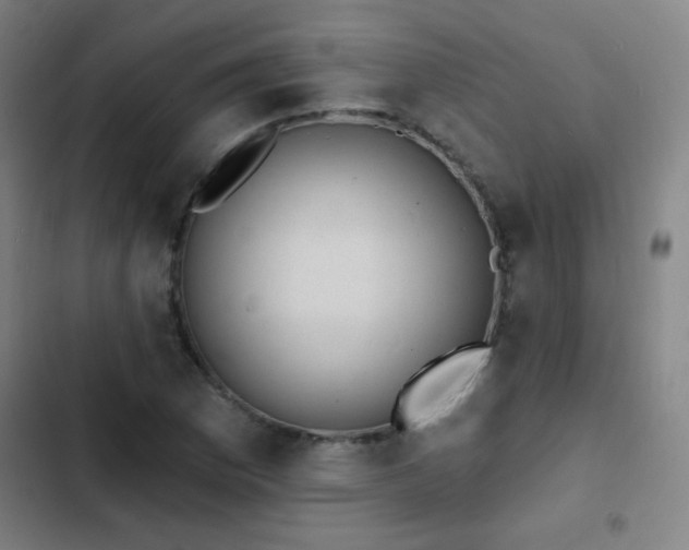 X0000103301169200808291358