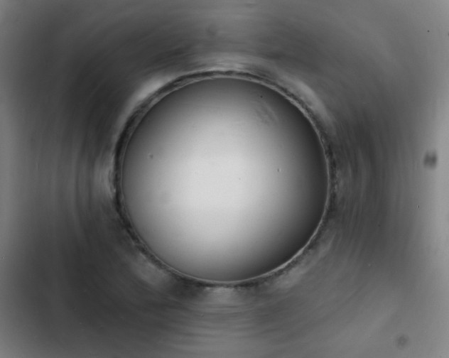 X0000103301172200808291358