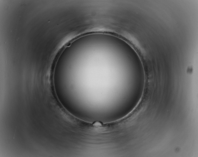 X0000103301173200808291358