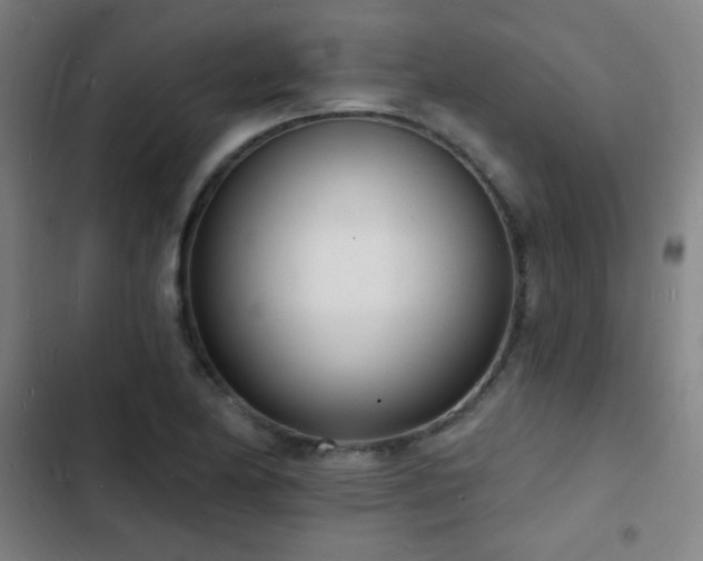 X0000103301174200808291358