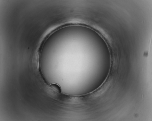 X0000103301175200808291358