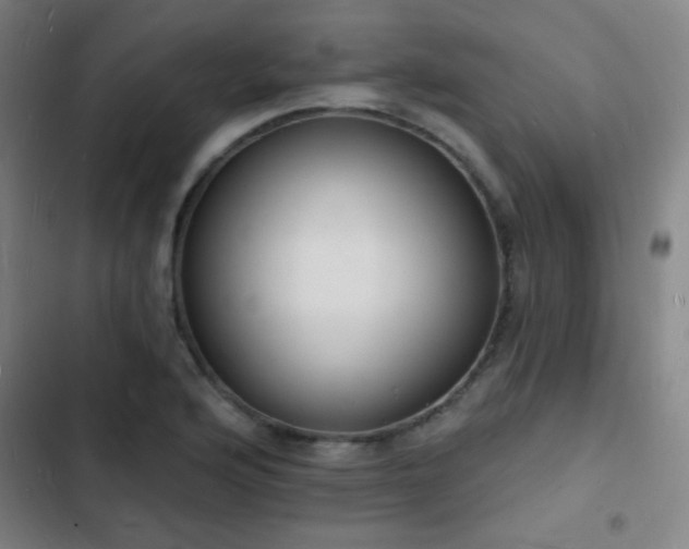 X0000103301176200808291358