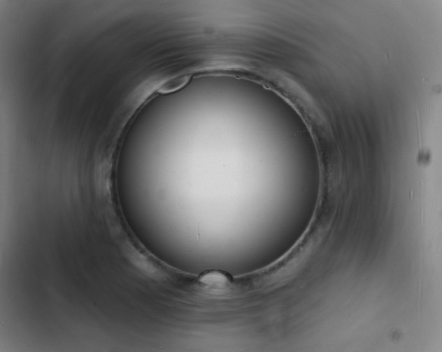 X0000103301177200808291358
