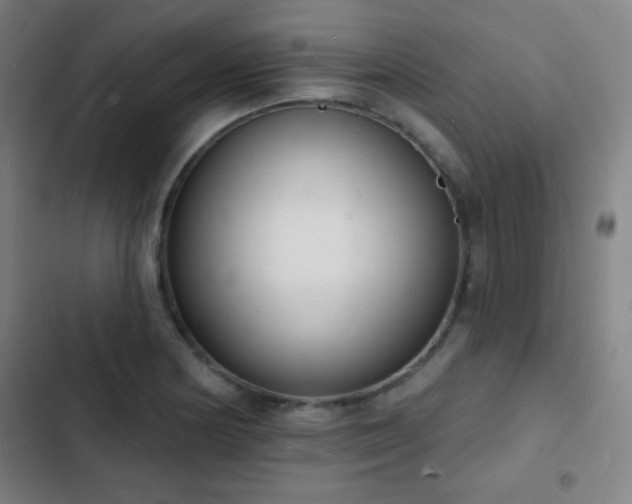 X0000103301178200808291358