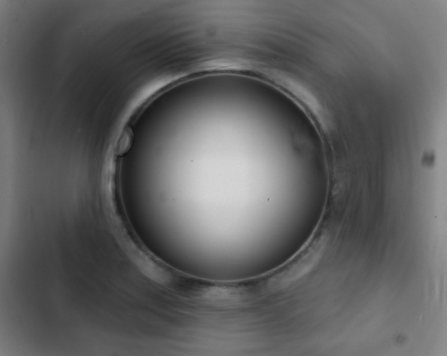 X0000103301179200808291358