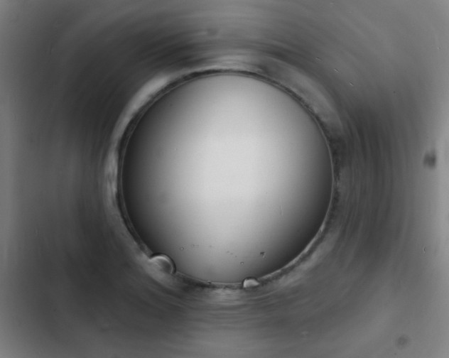 X0000103301180200808291358
