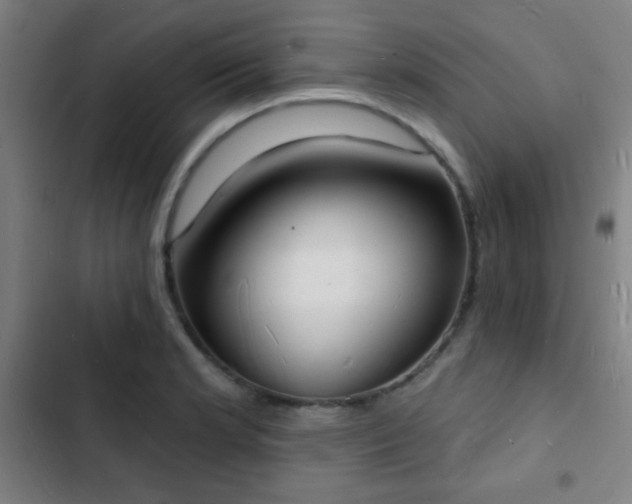 X0000103301181200808291358
