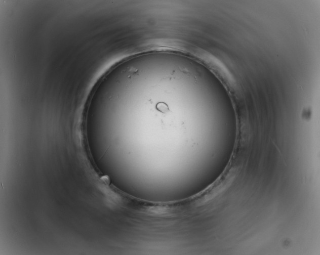 X0000103301182200808291358