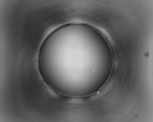 X0000103301183200808291358