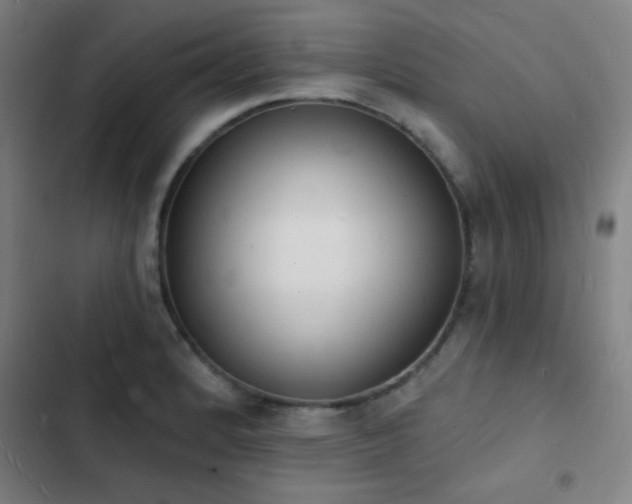 X0000103301184200808291358