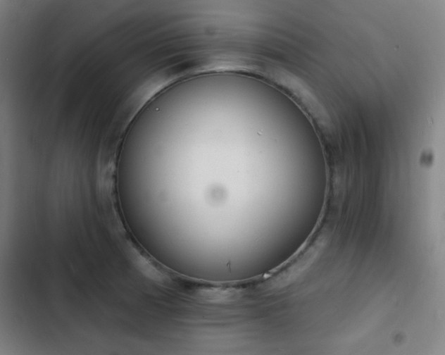 X0000103301185200808291358