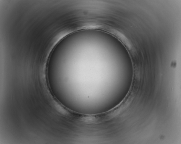 X0000103301186200808291358
