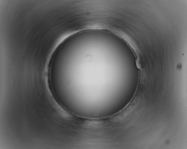 X0000103301187200808291358