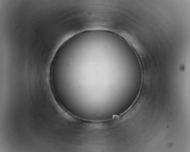 X0000103301189200808291358