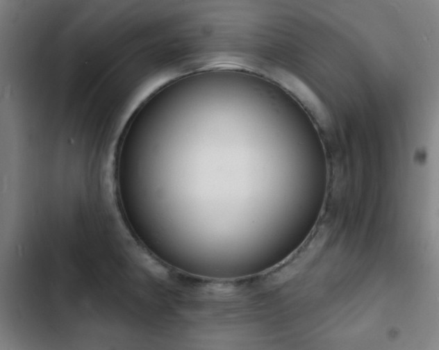 X0000103301190200808291358