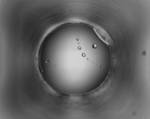 X0000103301191200808291358