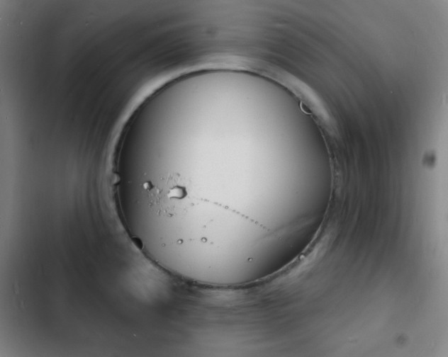 X0000103301192200808291358