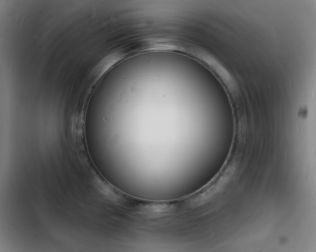 X0000103301193200808291358