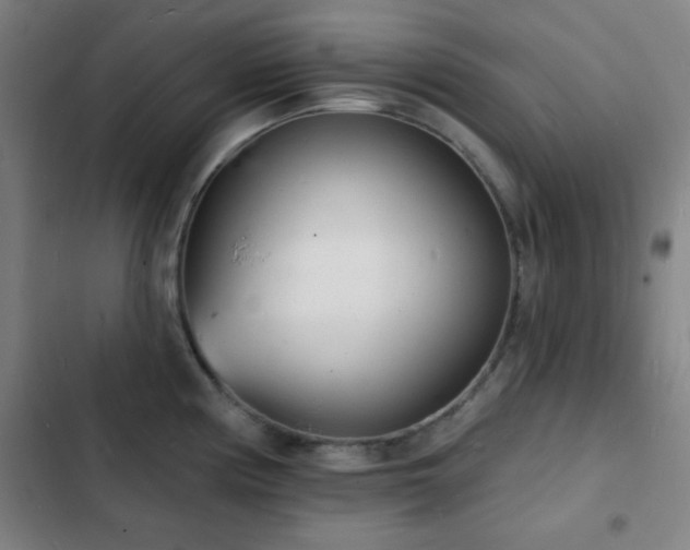 X0000103301194200808291358