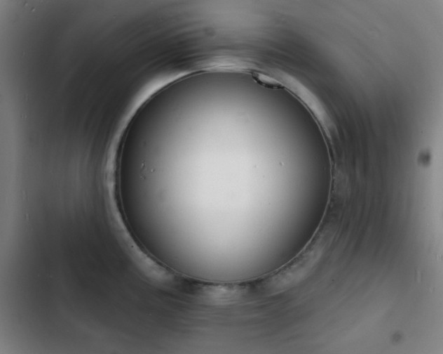 X0000103301195200808291358