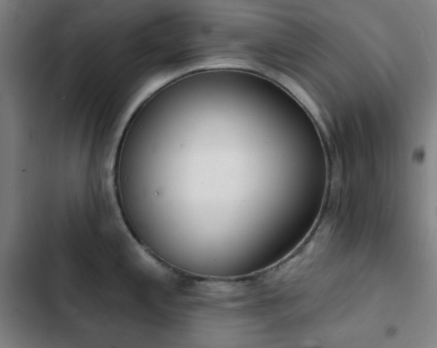 X0000103301197200808291358