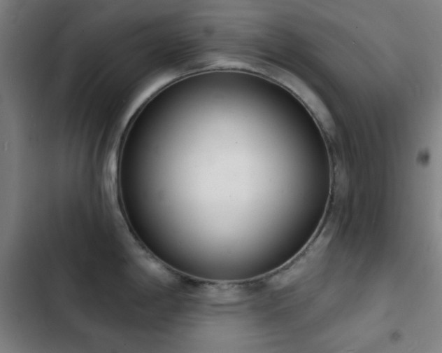 X0000103301198200808291358