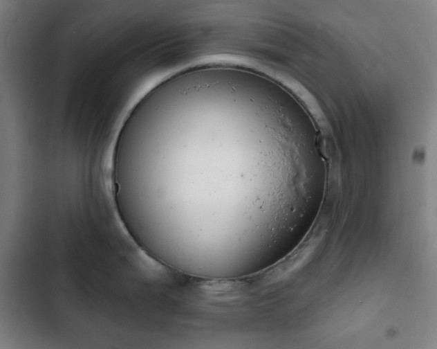 X0000103301199200808291358