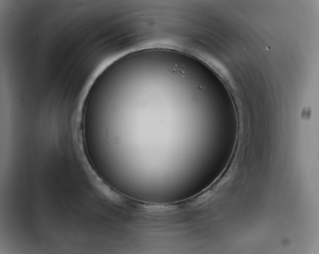 X0000103301200200808291358