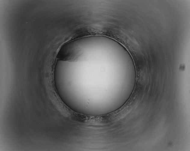 X0000103301201200808291357