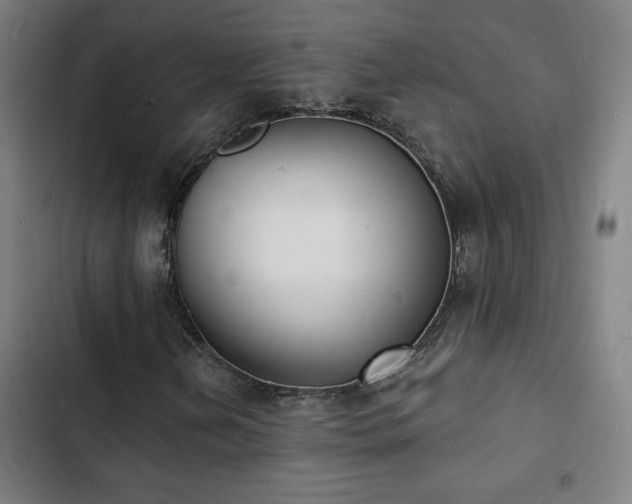 X0000103301202200808291357