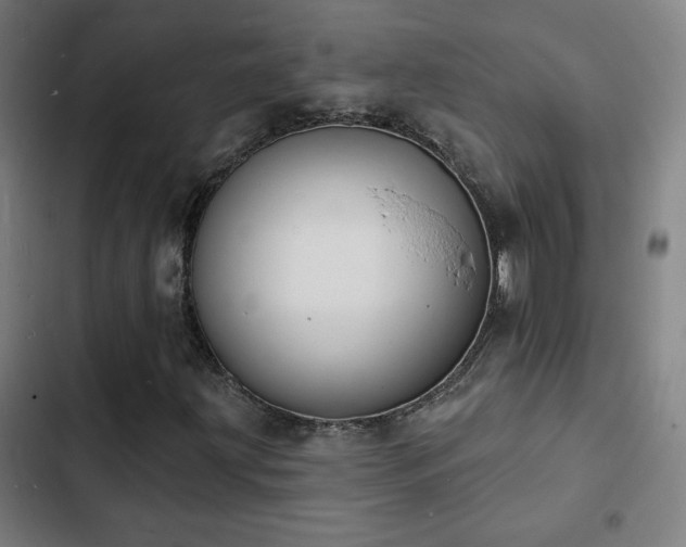 X0000103301203200808291357