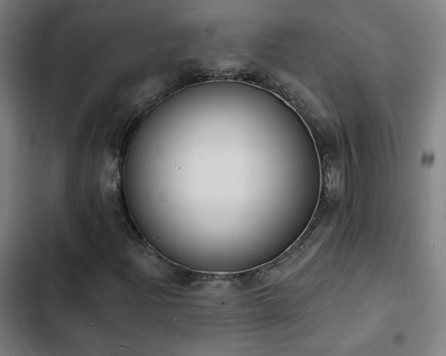 X0000103301204200808291357