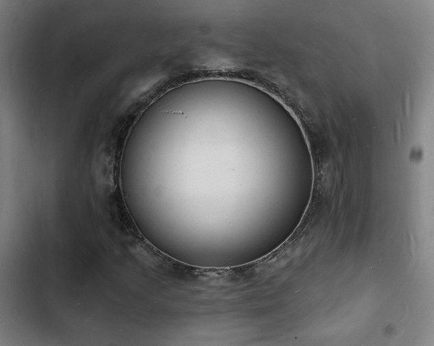 X0000103301205200808291357